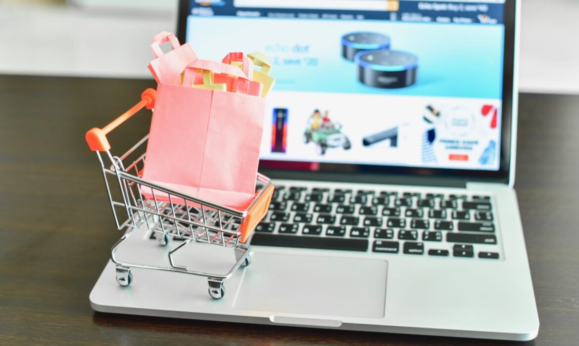 Pronájem e-shopu vs. obchod na míru z&nbsp;pohledu SEO