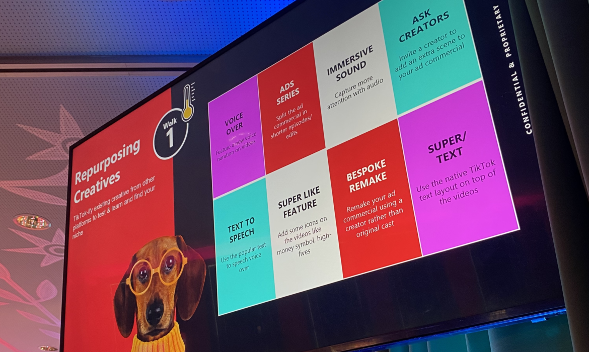 TikTok věří českým klientům, ti by neměli podceňovat spolupráci s&nbsp;agenturami